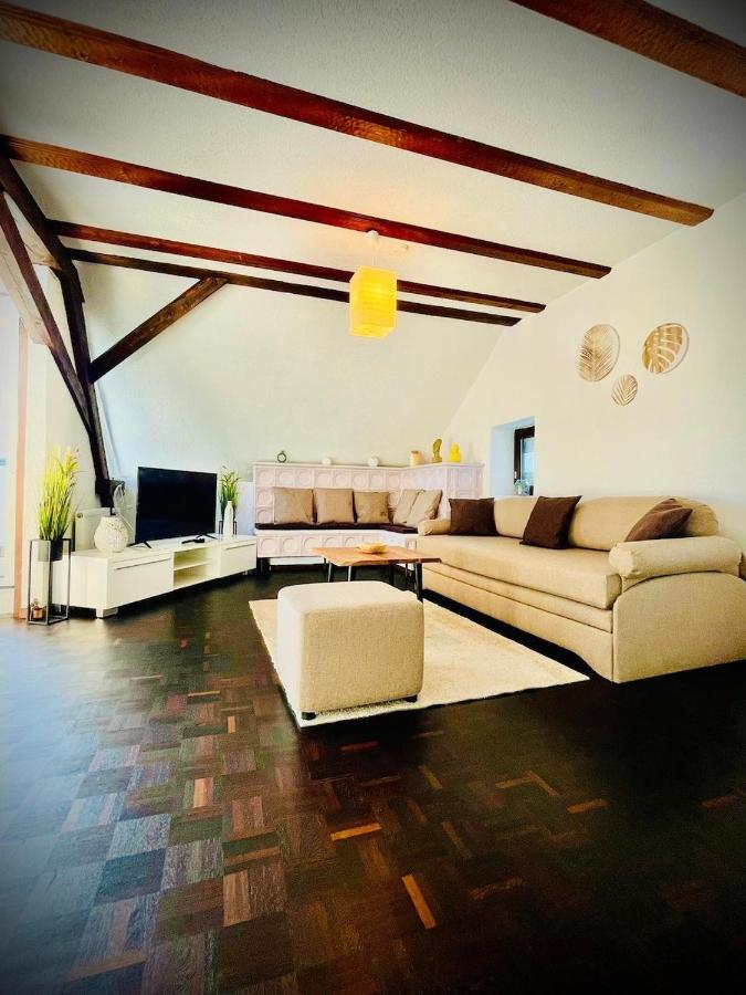Chris & Aris Ferienwohnung Waldshut Zentrum 외부 사진